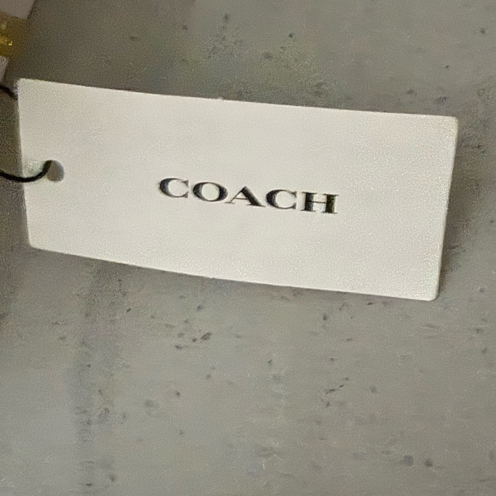 Coach cherry pendant necklace NWT JEWELRY POUCH - Picture 10 of 12